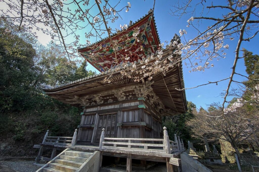Temple 8 Kumadani-ji pagoda and cherry blossom