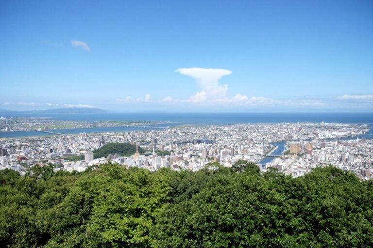 Tokushima City
