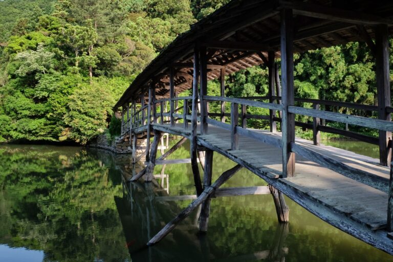 The Covered Bridges of Uchiko