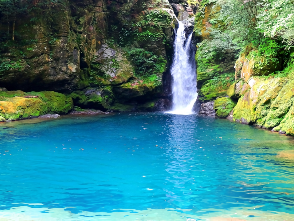 A scenic waterfall flowing into a vibrant, crystal-clear blue basin surrounded by mossy rocks and lush greenery in Kochi, Japan.