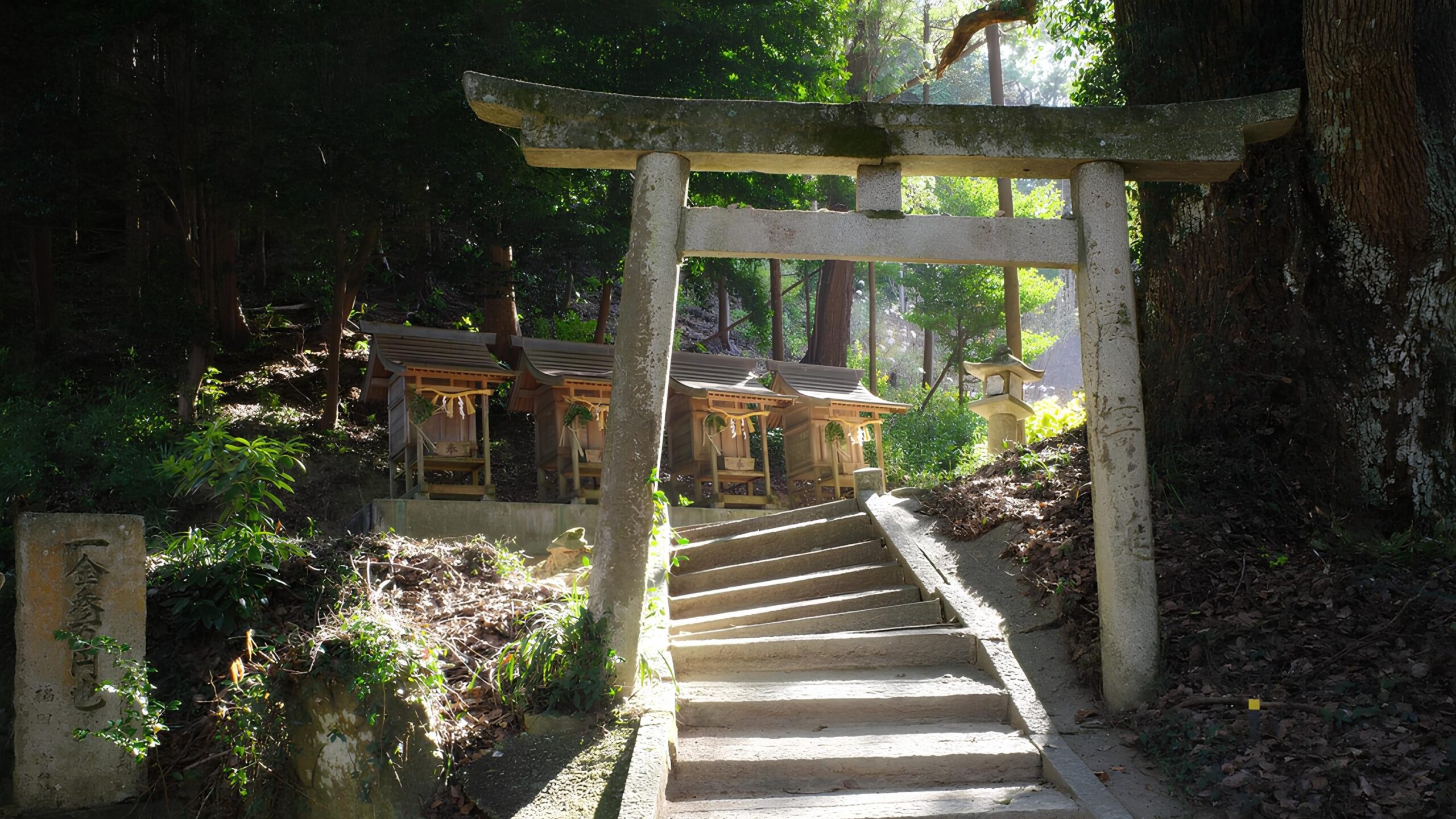 A stone torii gate marks the entrance to a Shinto sacred space.
