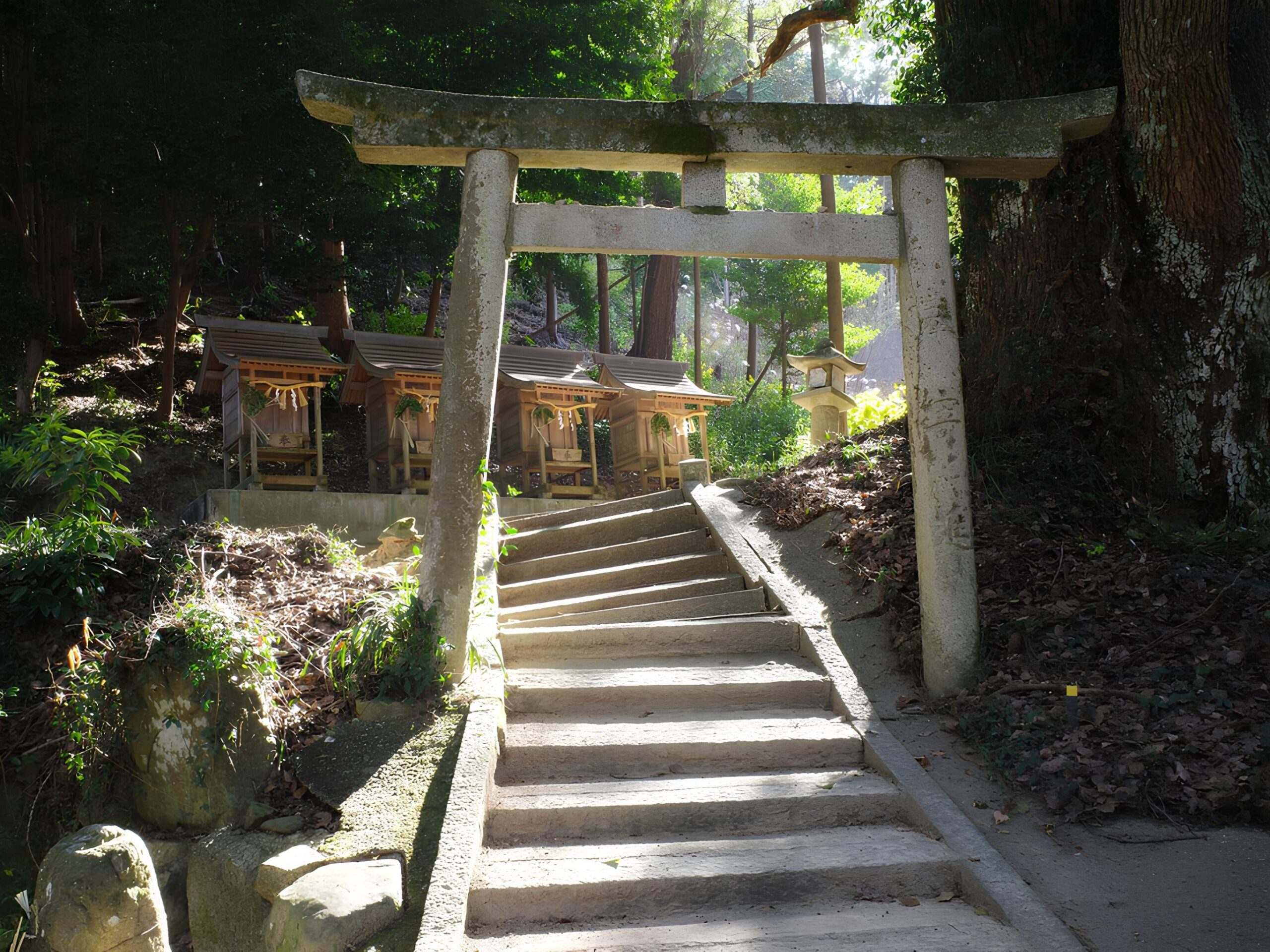A stone torii gate marks the entrance to a Shinto sacred space.