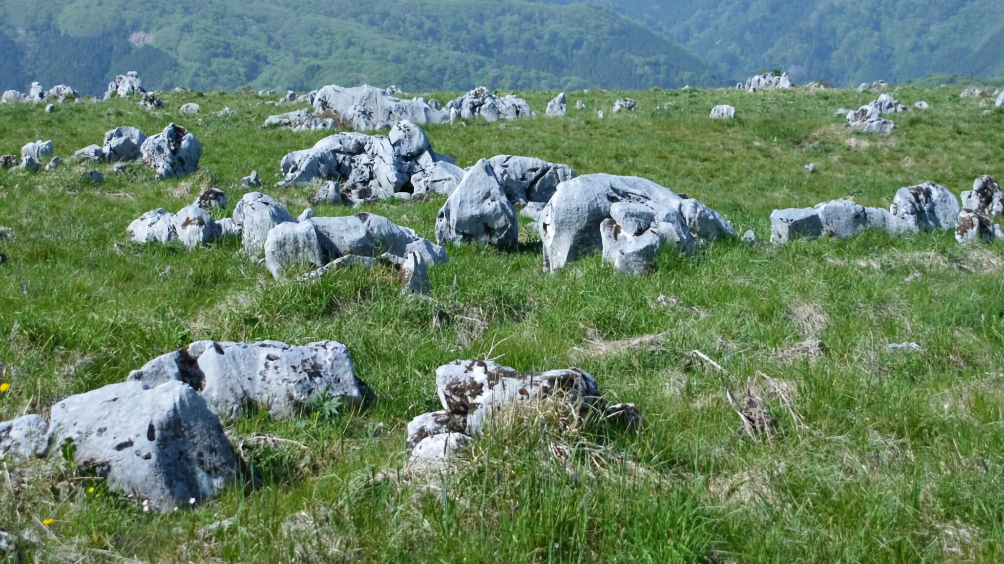 White limestone karst rocks scattered across a grassy field in Onogahara, with mountains in the background.