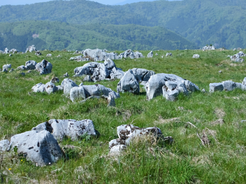 White limestone karst rocks scattered across a grassy field in Onogahara, with mountains in the background.