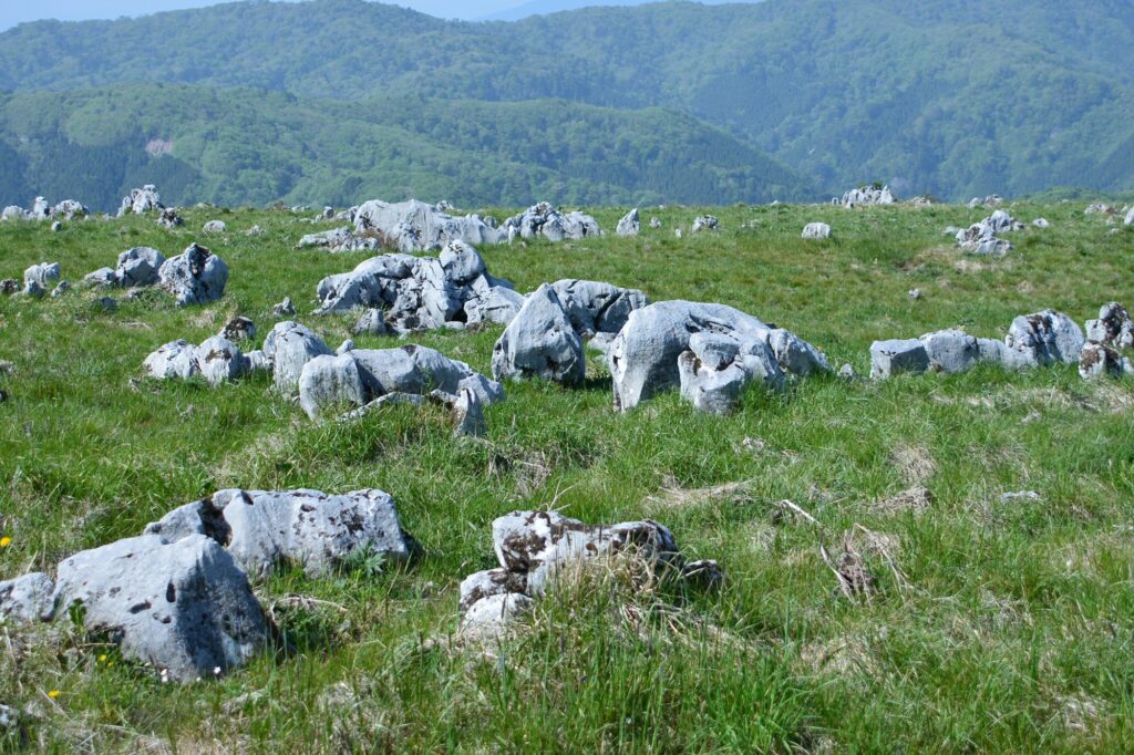 White limestone karst rocks scattered across a grassy field in Onogahara, with mountains in the background.