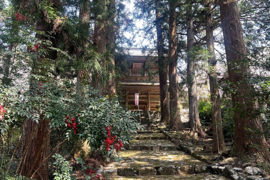 A moss-covered stone walk leading to the main temple at Ryutaku-ji in Seiyo City, Ehime. Giant cedar trees over 300 years old tower on either side , creating a solemn atmosphere untouched for over 400 years.