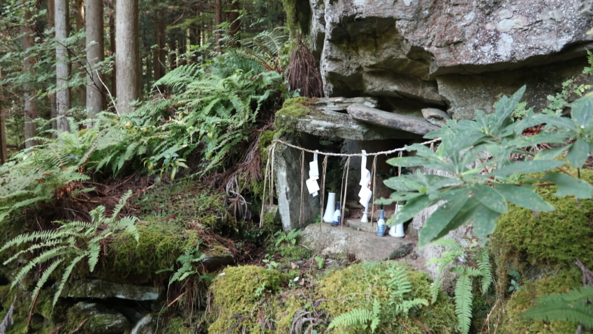 In Iya's Shigesue village, each household has its own Yama no Kami, a forest prayer site for nature's protection. Makoto now shares this tradition with visitors.