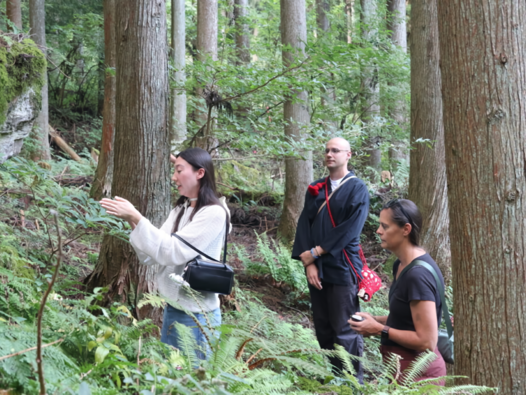 A guided nature walk in a serene cedar forest, with a guide explaining features to a monk and another woman.