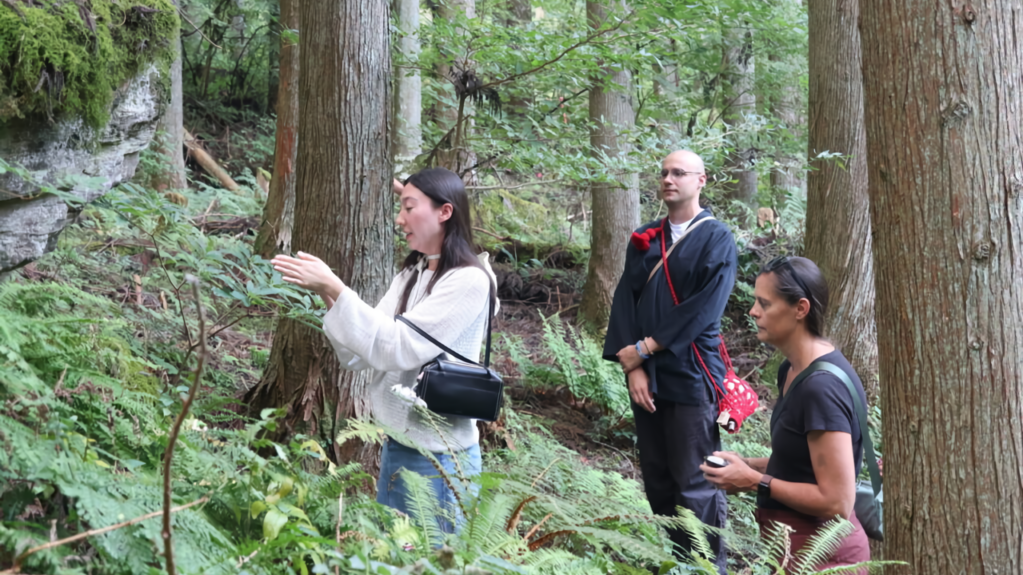 A guided nature walk in a serene cedar forest, with a guide explaining features to a monk and another woman.