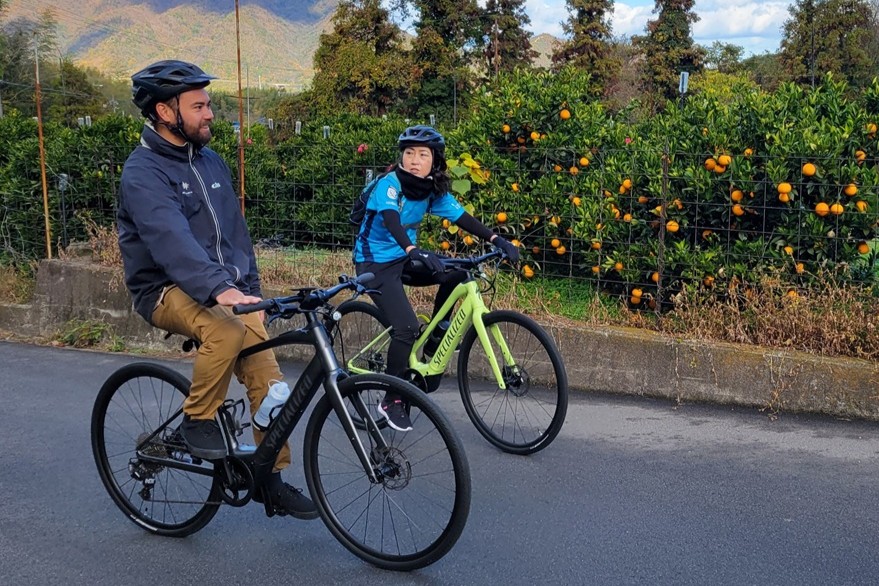 Two cyclists, a man and a woman, riding Specialized bicycles next to a mandarin orange orchard in Shikoku, both wearing helmets.