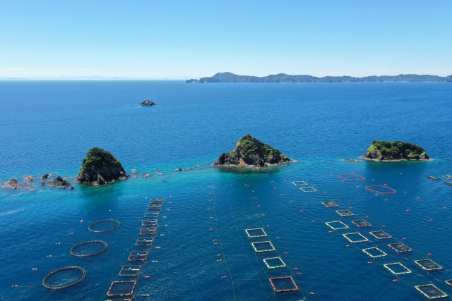 Red sea bream sea cages at an aquaculture farm in Ehime, Japan.