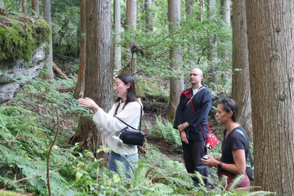 A guided nature walk in a serene cedar forest, with a guide explaining features to a monk and another woman.