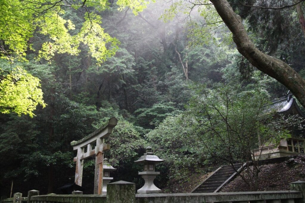 Sunlight filters through trees on the path to Kotohira’s inner shrine, an oasis of natural beauty that retains its sense of sacredness.