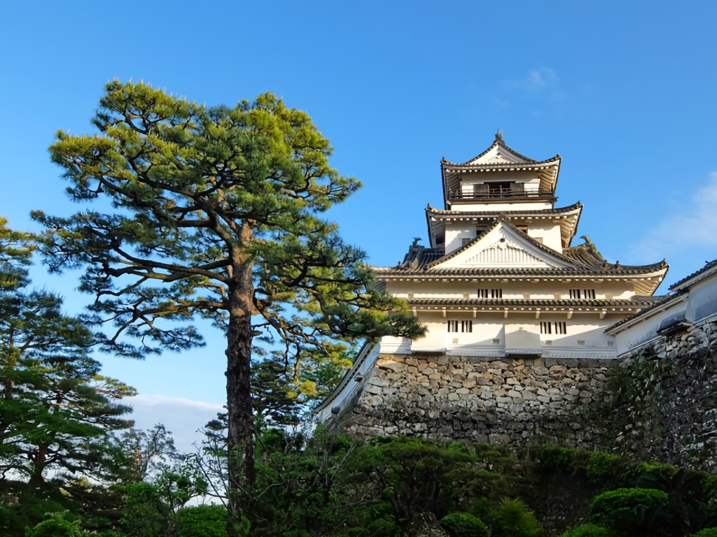A tall pine tree stands prominently next to the white main tower of Kochi Castle atop its massive stone walls.