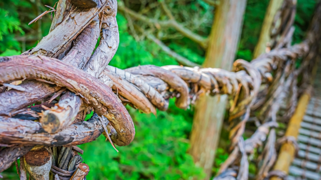 A close-up of the bridge's thick woven vines — the same kind the fleeing Heike clan once used, ready to be cut to block pursuing enemies.
