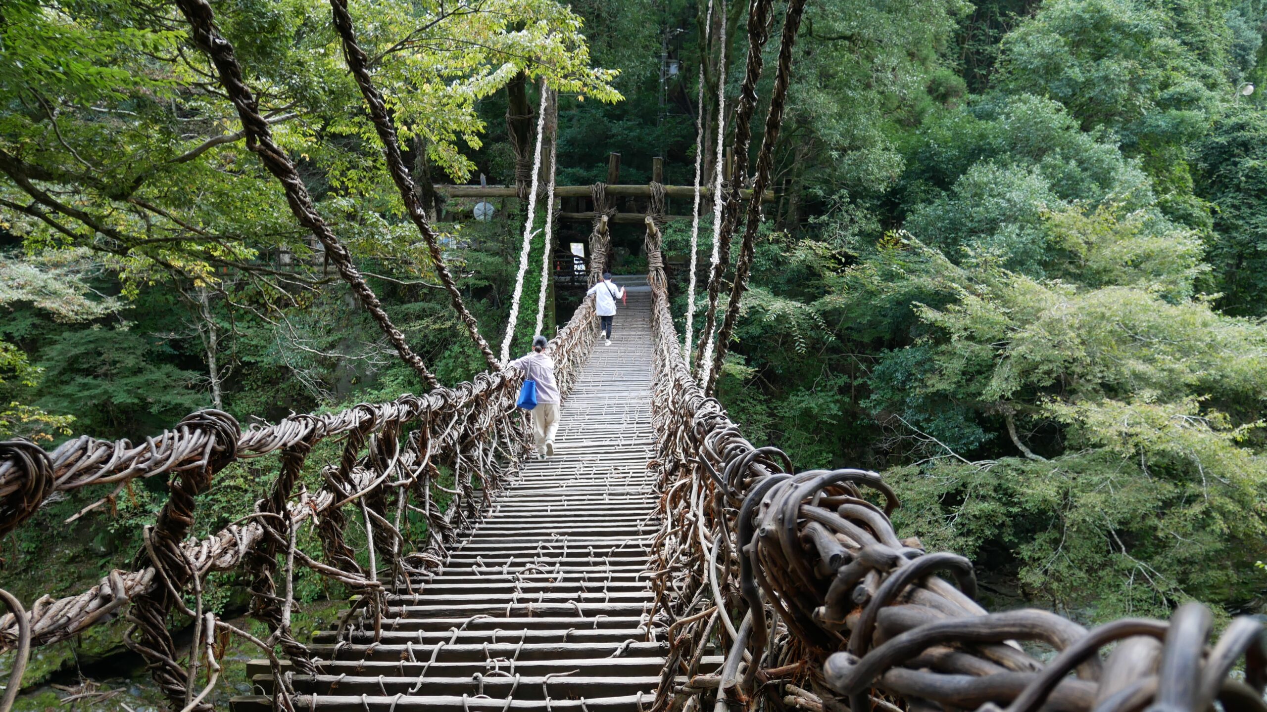Two visitors cross the Iya Valley Kazura Bridge, its vine-woven walkway swaying above the river, surrounded by dense green forest deep in the Tokushima mountains.