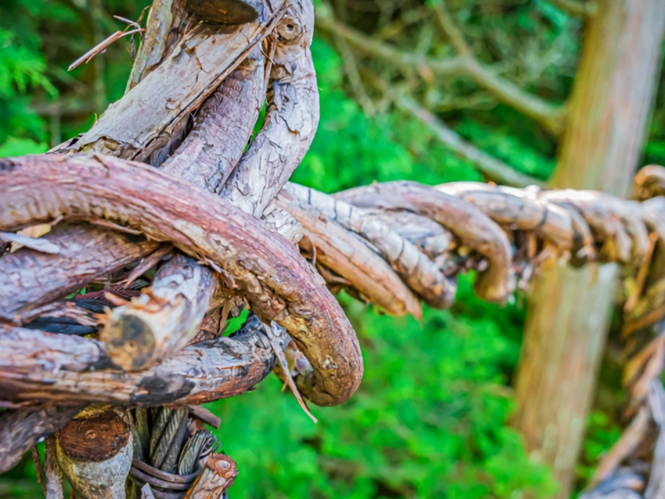 A close-up of the bridge's thick woven vines — the same kind the fleeing Heike clan once used, ready to be cut to block pursuing enemies.
