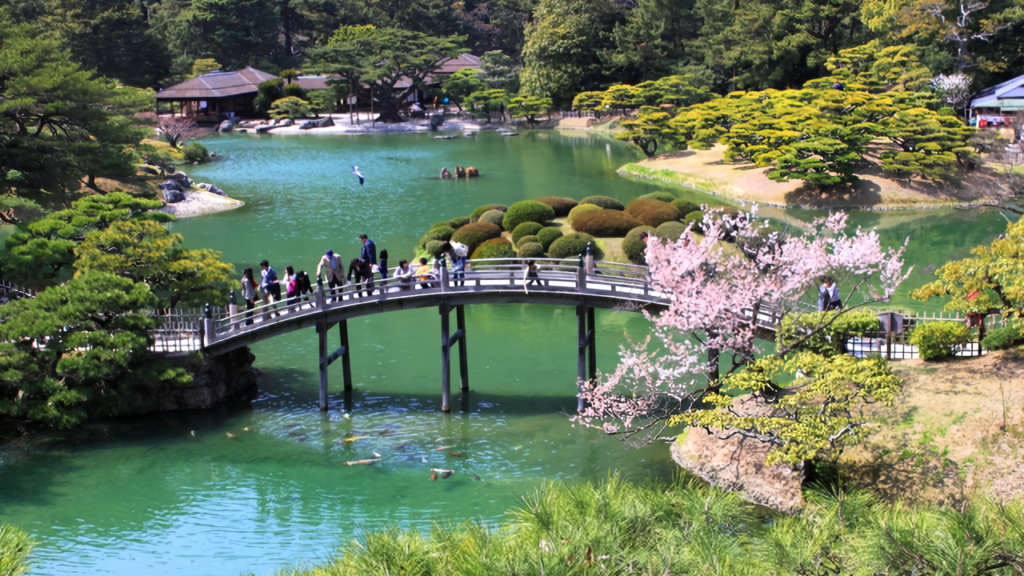 Visitors cross the iconic arched bridge beside a delicate cherry blossom tree, with the teahouse and emerald pond behind.