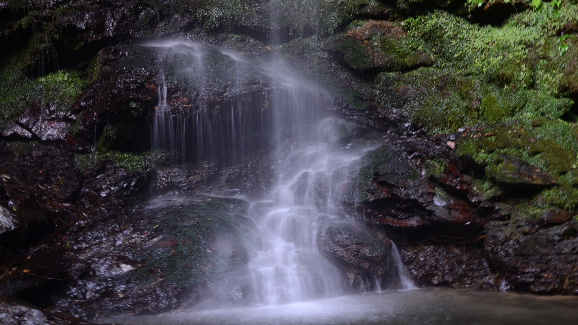 Water fanning out in thin strands over moss-covered rock at Biwa Falls in Tokushima's Iya Valley