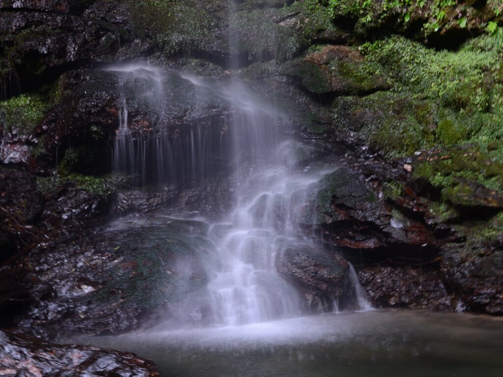 Water fanning out in thin strands over moss-covered rock at Biwa Falls in Tokushima's Iya Valley