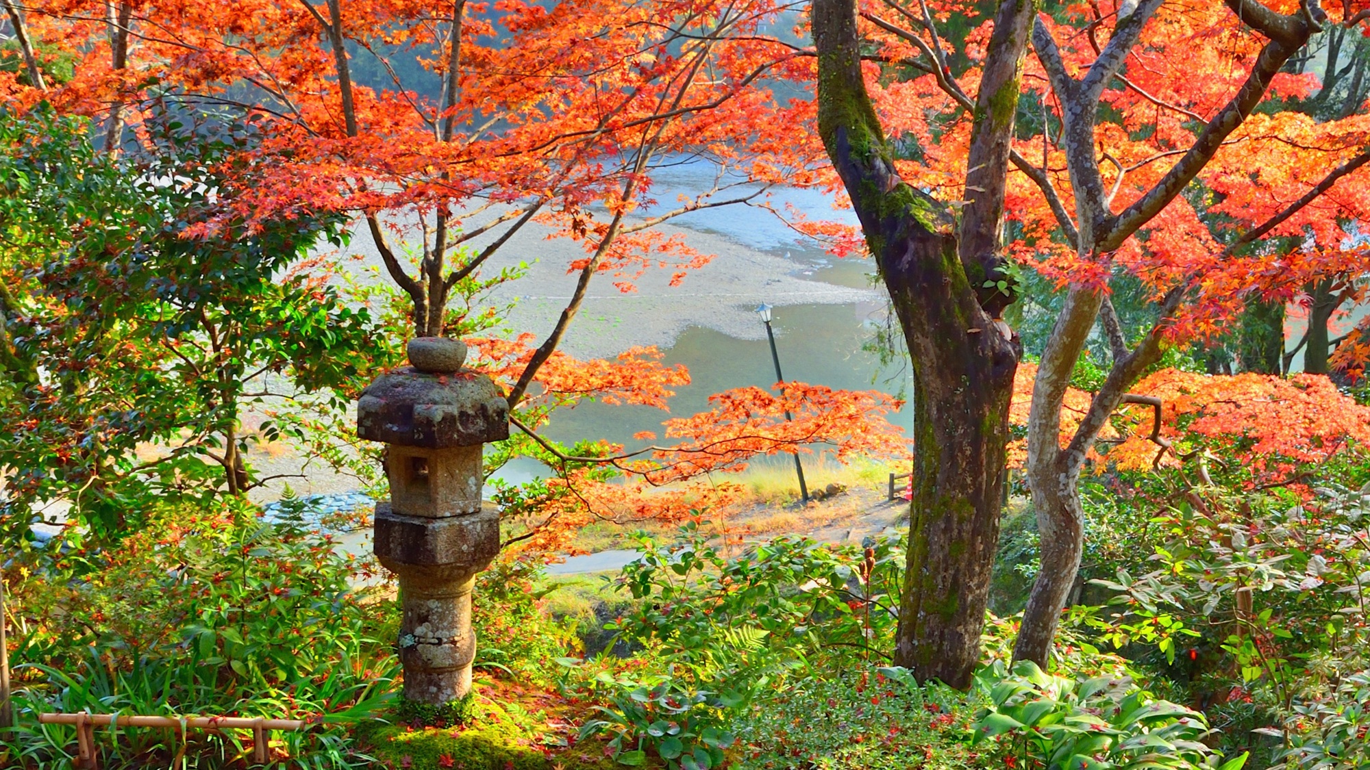 Autumn maples and a stone lantern in the garden of Garyu Sanso, with the Hijikawa River beyond