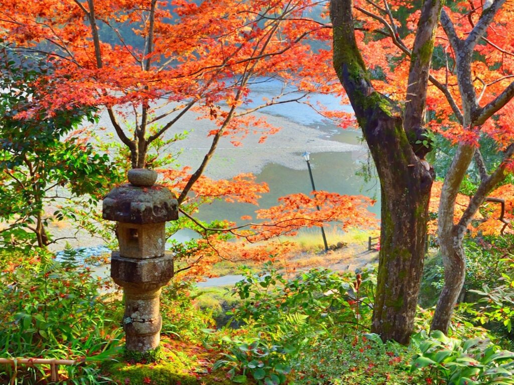Autumn maples and a stone lantern in the garden of Garyu Sanso, with the Hijikawa River beyond