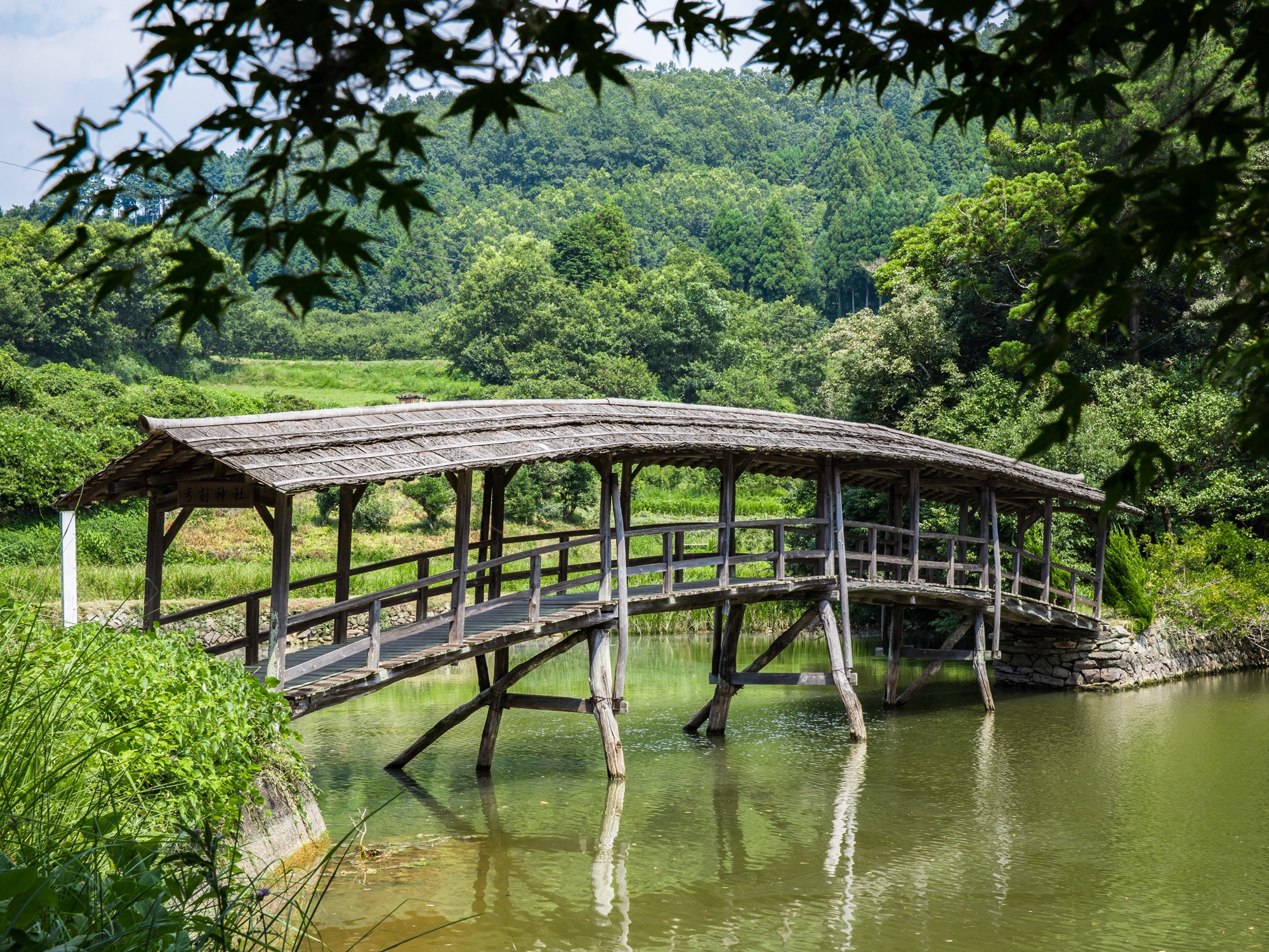A roofed wooden bridge arches across a still pond to Yuge Shrine, one of Uchiko's most peaceful spots and an easy bike ride away.