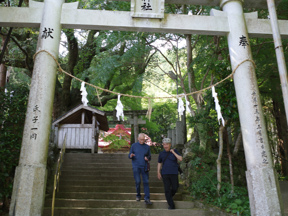 Visitors on the stone steps beneath the torii gate at Sugi no Osugi, a 3,000-year-old sacred cedar in Otoyo Town, Kochi