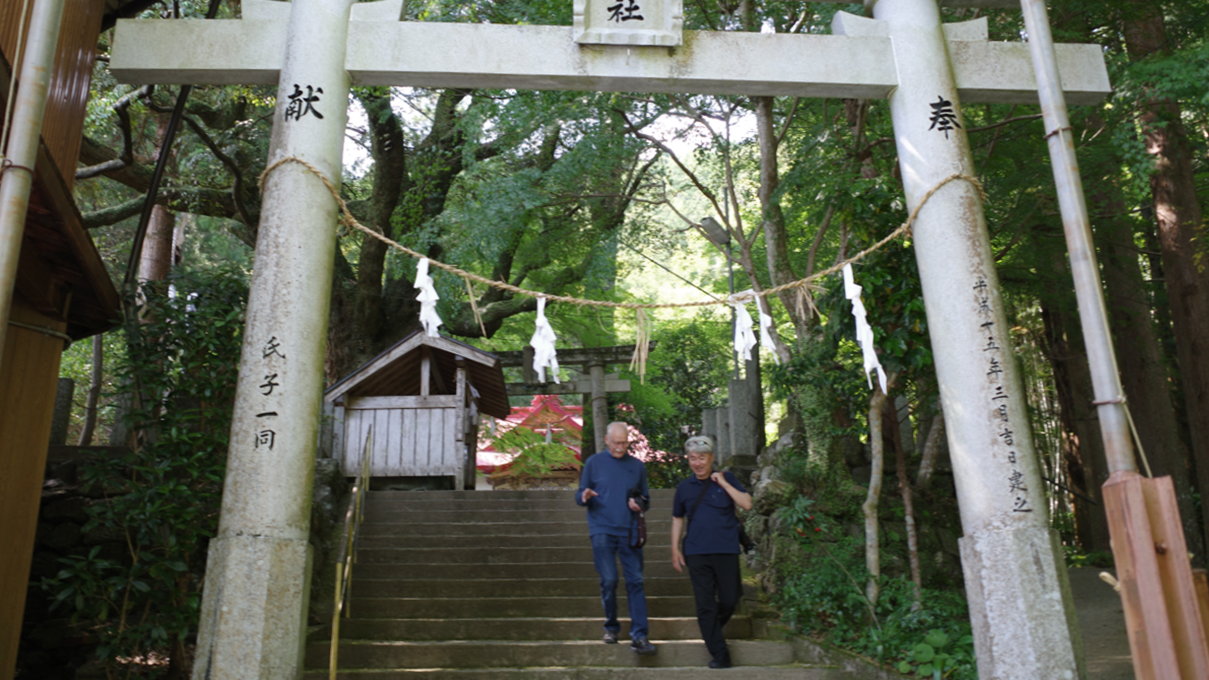 Visitors on the stone steps beneath the torii gate at Sugi no Osugi, a 3,000-year-old sacred cedar in Otoyo Town, Kochi