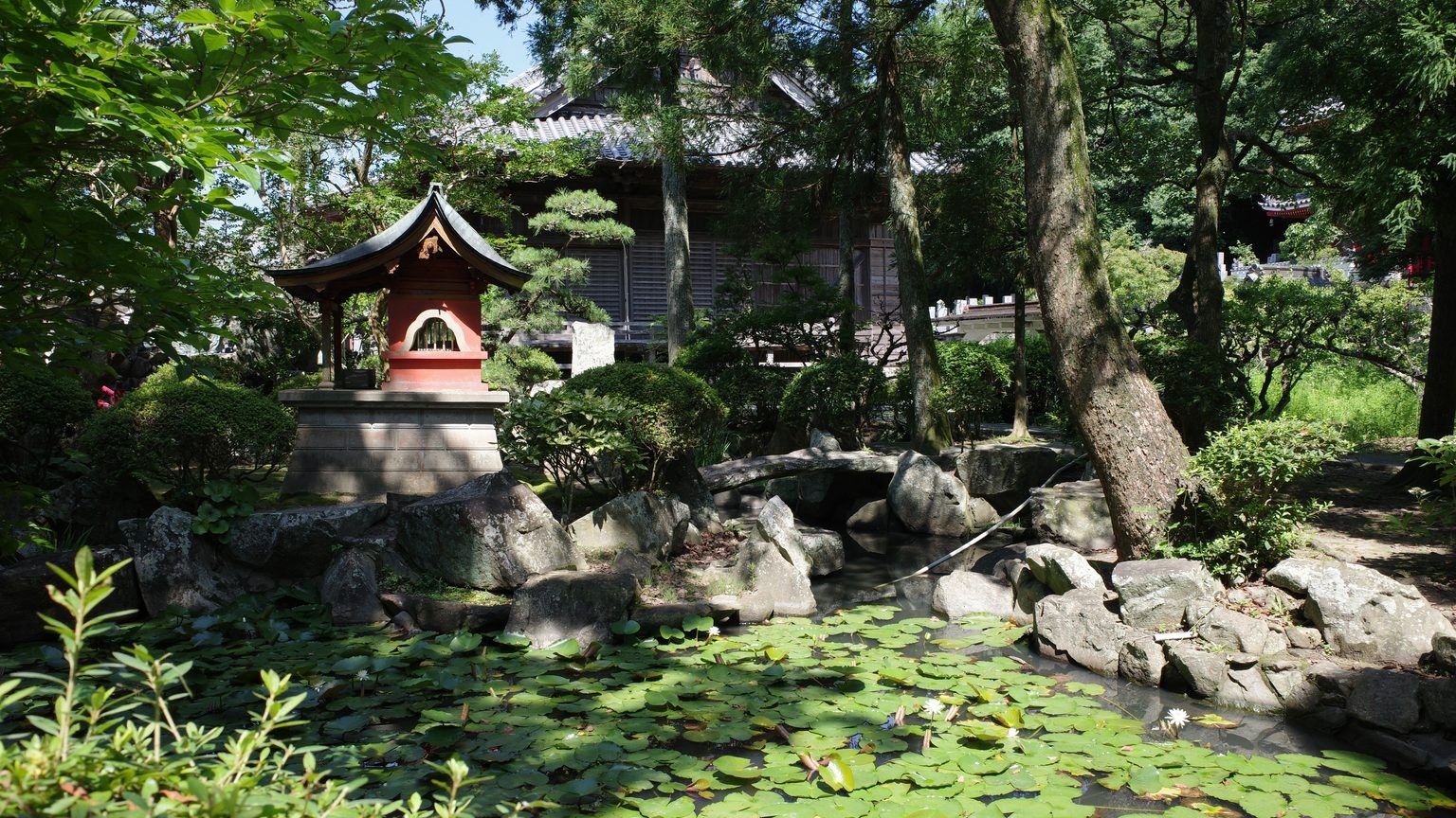 A pond full of green lily-pads and blooming white water lilies surrounds a vermillion shrine to Benzaiten, the goddess of water, at Konsen-ji. 