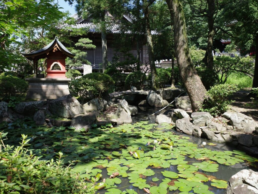 A pond full of green lily-pads and blooming white water lilies surrounds a vermillion shrine to Benzaiten, the goddess of water, at Konsen-ji. 