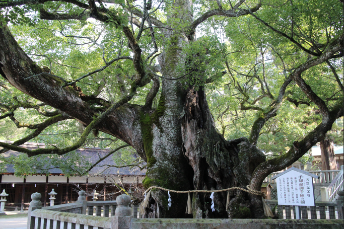 Oyamazumi shrine