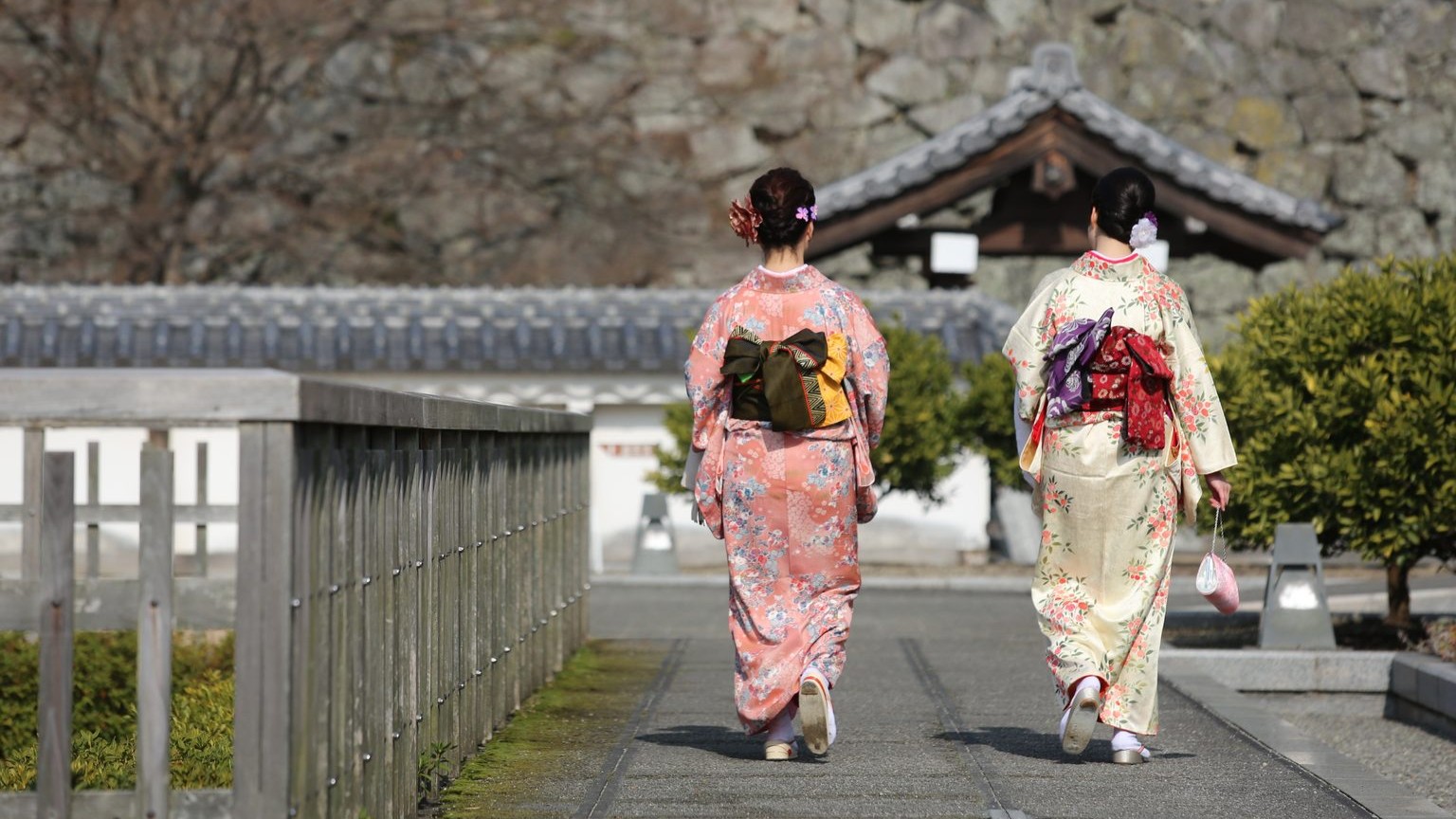 Two kimono-clad women walk through the gardens of the Ninomaru park at Matsuyama castle. Citrus trees and concrete squares mark the original position of demolished buildings. The stone wall of the castle looms in the background.