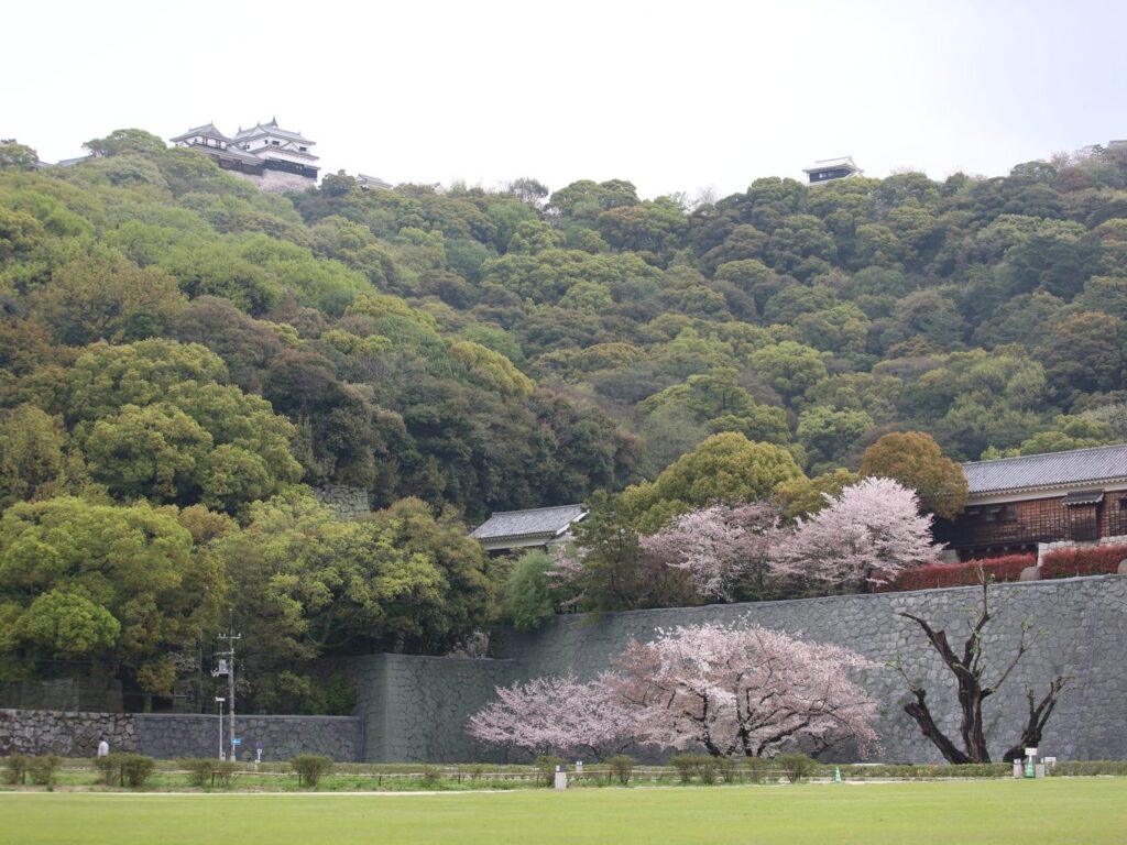 Cherry trees bloom in green space characteristic of the current state of the Sannomaru. The ninmoaru enclosure is in the middle of the photo, and the honmaru is visible at top.