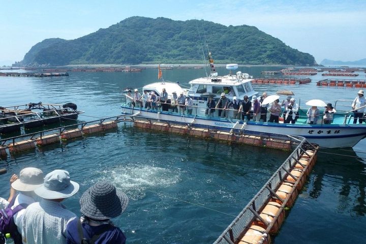 Fish-farming-Uwakai