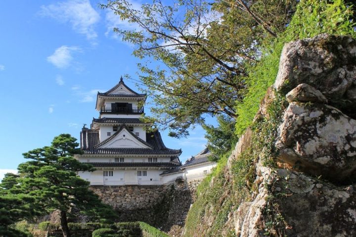 Kochi-Castle-and-walls