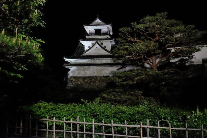 Kochi-Castle-at-night
