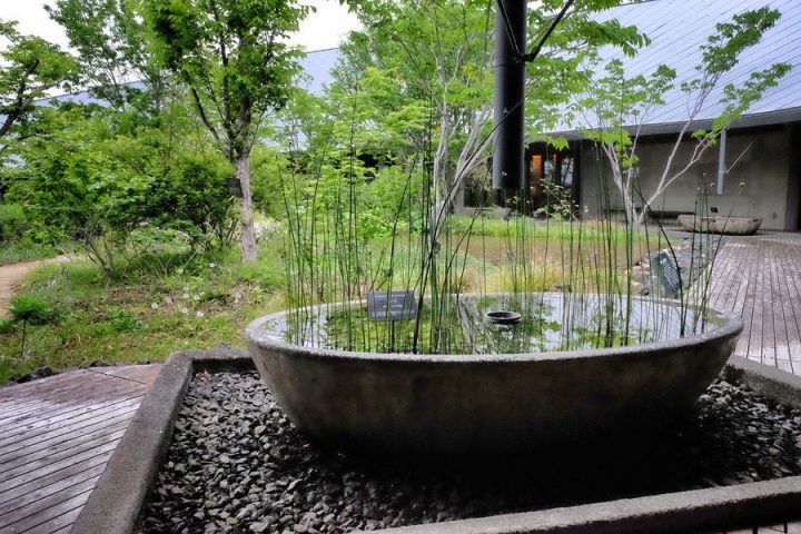 Makino-Botanical-Garden-water